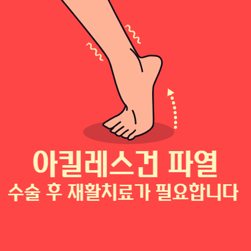  아킬레스건 염증 치료법 파열 수술 재활치료 회복기간 주의사항