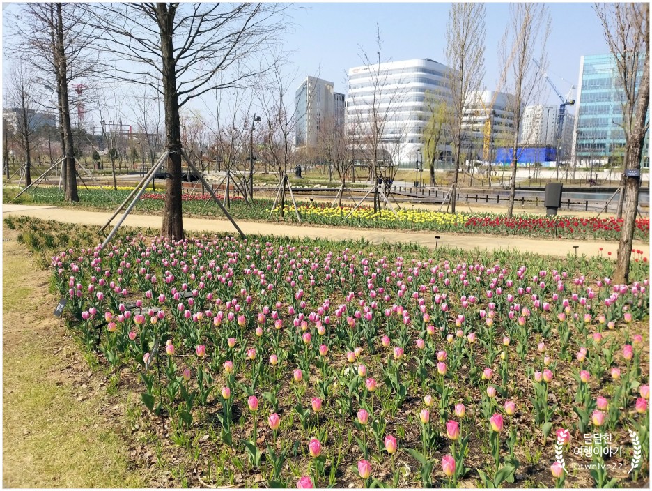 서울꽃식물원 이미지