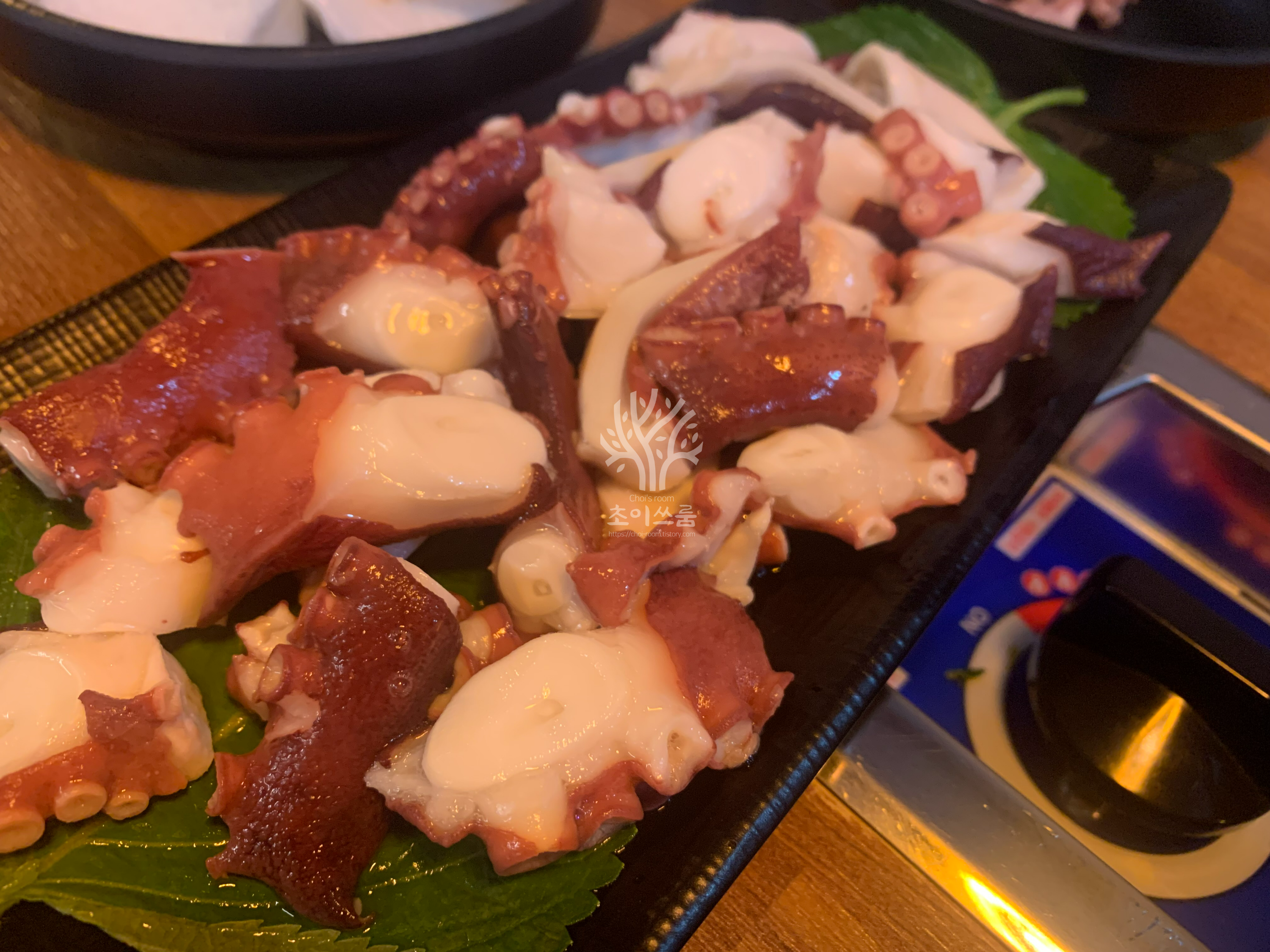 꼬마 돌문어