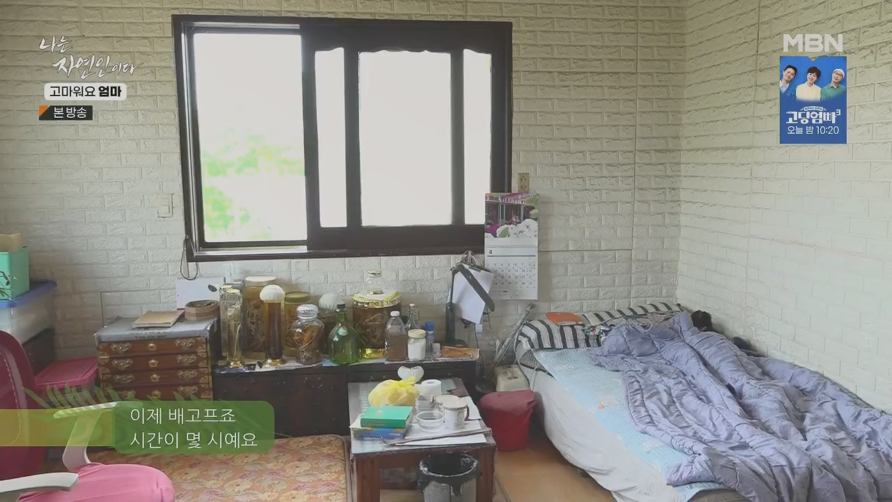 나는 자연인이다.E554.230518p.H264-F1RST.mp4_20230518_194510.141.jpg