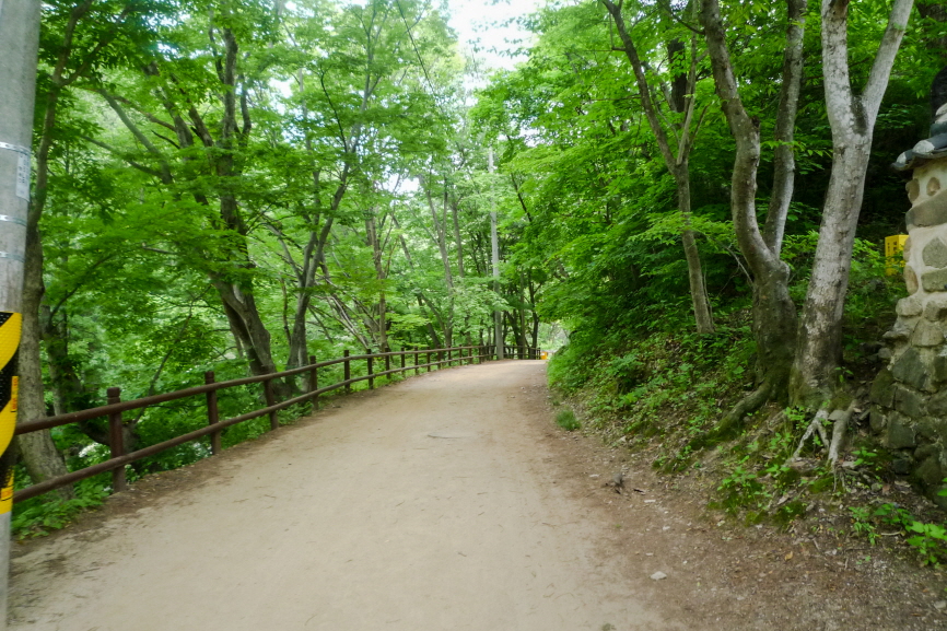 마늘로드 한국 명산 경북 청송 주왕산 등산 mountain hiking