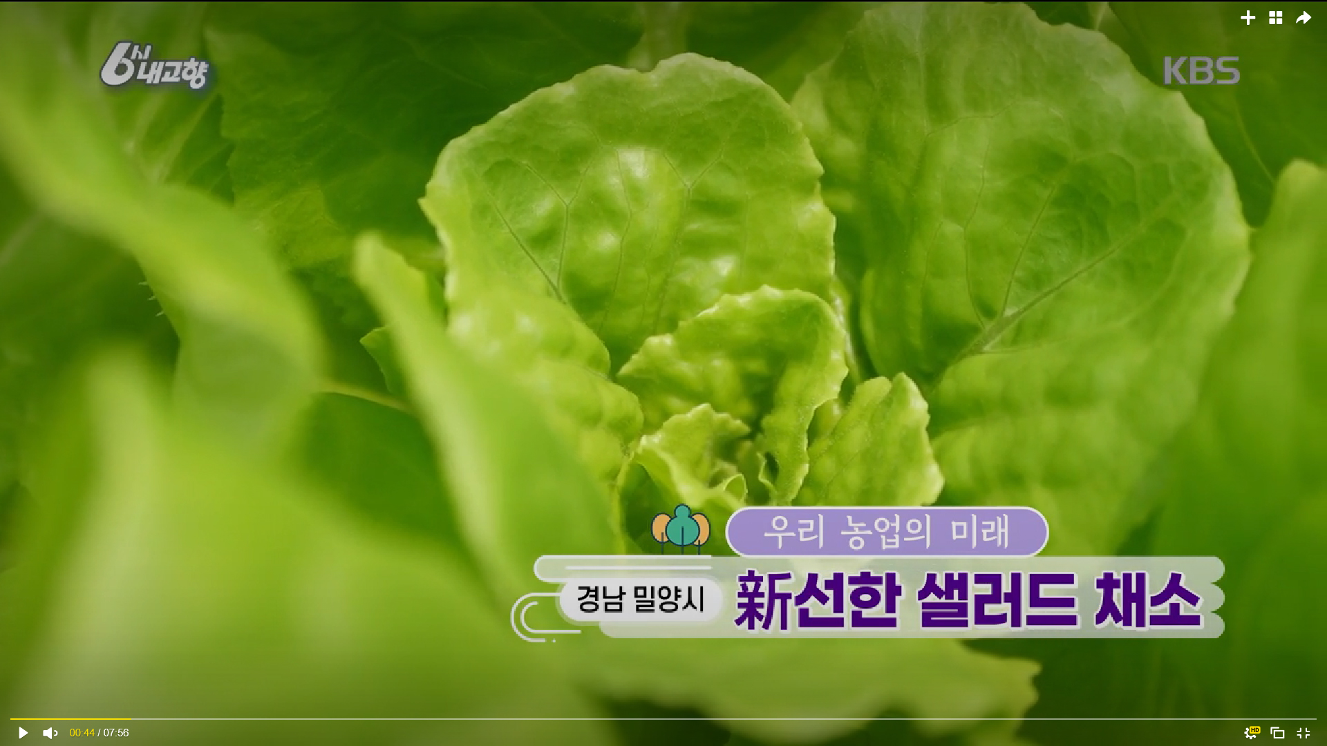 샐러드연구소 이미지