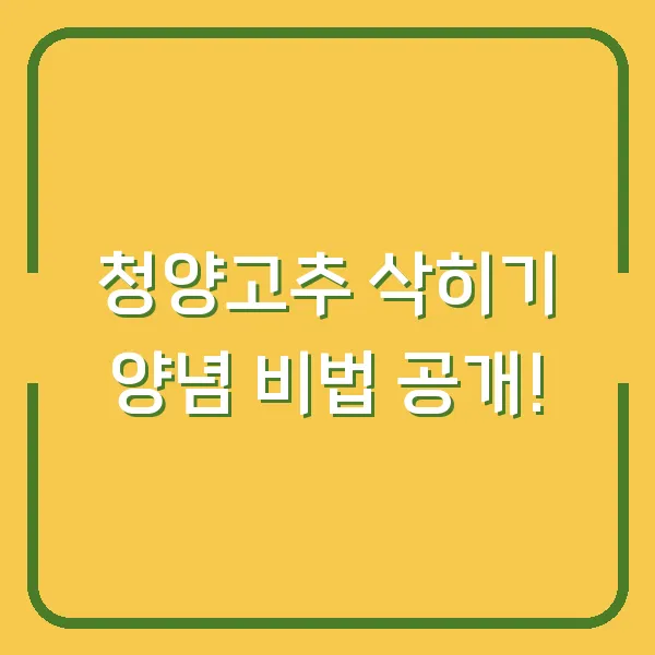 청양고추 삭히기 양념 비법 공개!