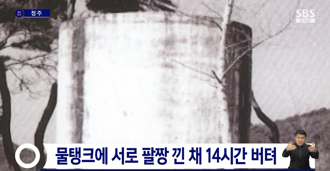 이끼이야기 이미지