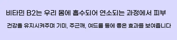  비타민 B2는 우리 몸에 흡수되어 연소되는 과정에서 피부 건강을 유지시켜주며 기미, 주근깨, 여드름 등에 좋은 효과를 보여줍니다