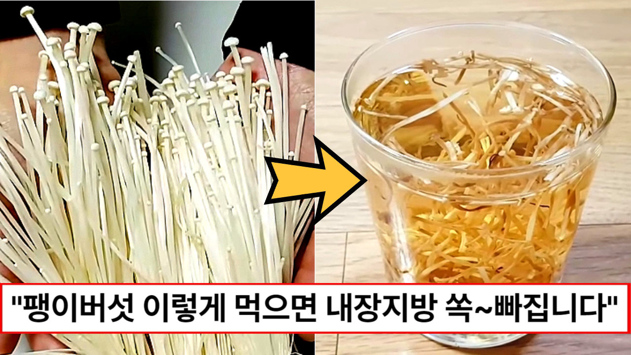 “팽이버섯 이렇게 드세요” 팽이버섯으로 2달만에 내장지방 22%까지 쏙 뺄수 있는 방법