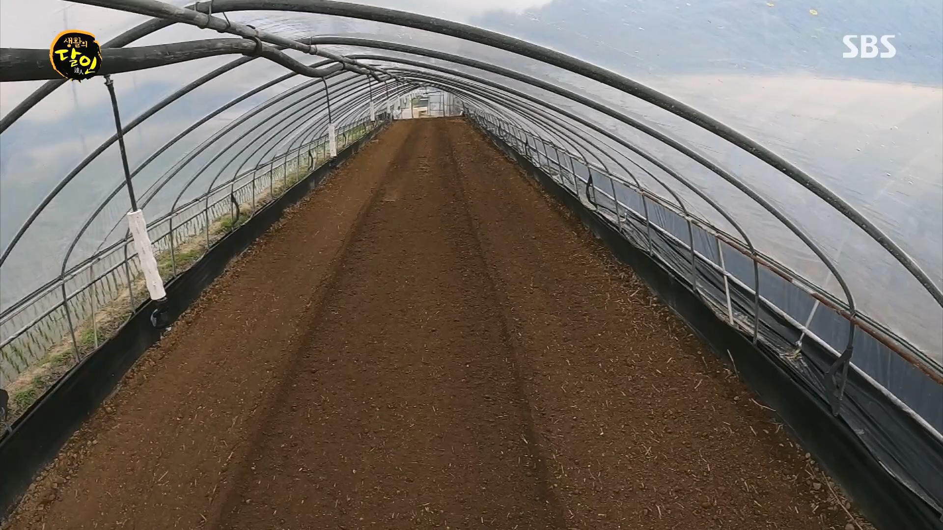 생활의 달인.E939.240610p.H264-F1RST.mp4_20240611_200851.113.jpg