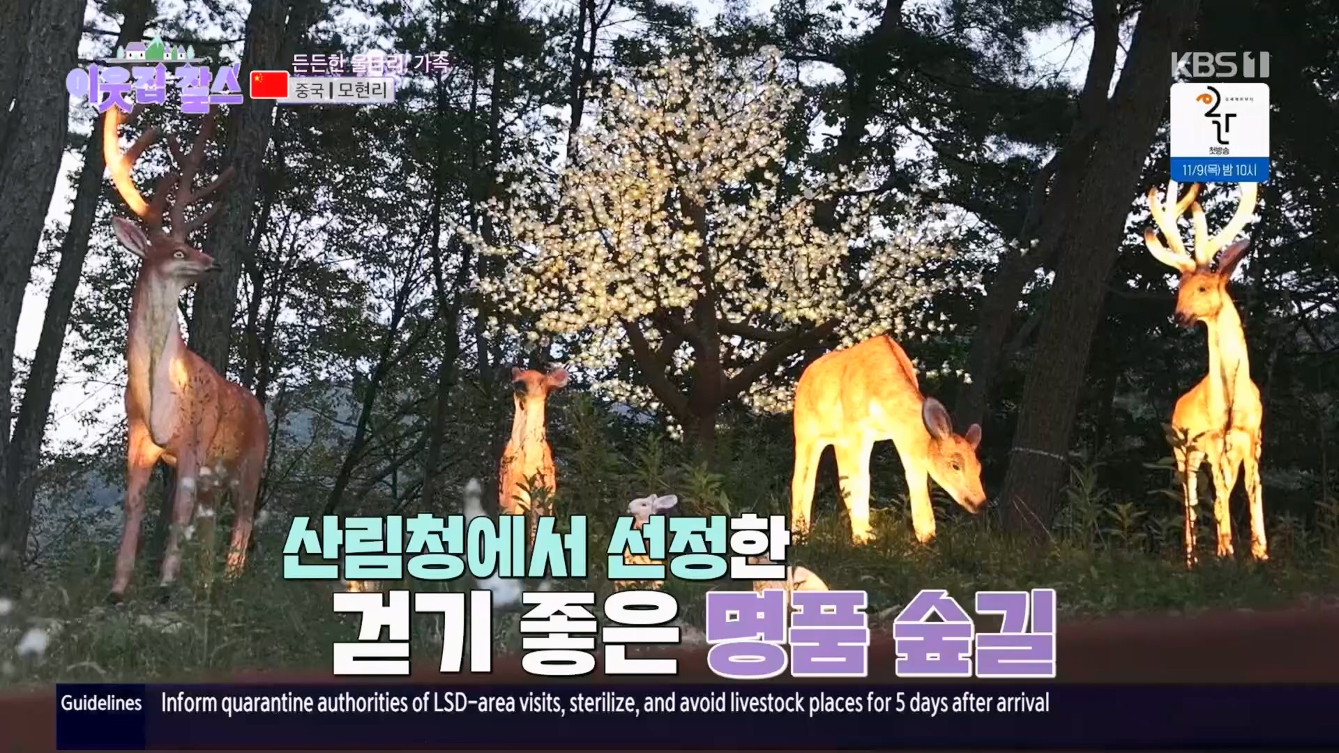 이웃집 찰스.E04.231031p.H264-F1RST.mp4_20231101_201731.383.jpg