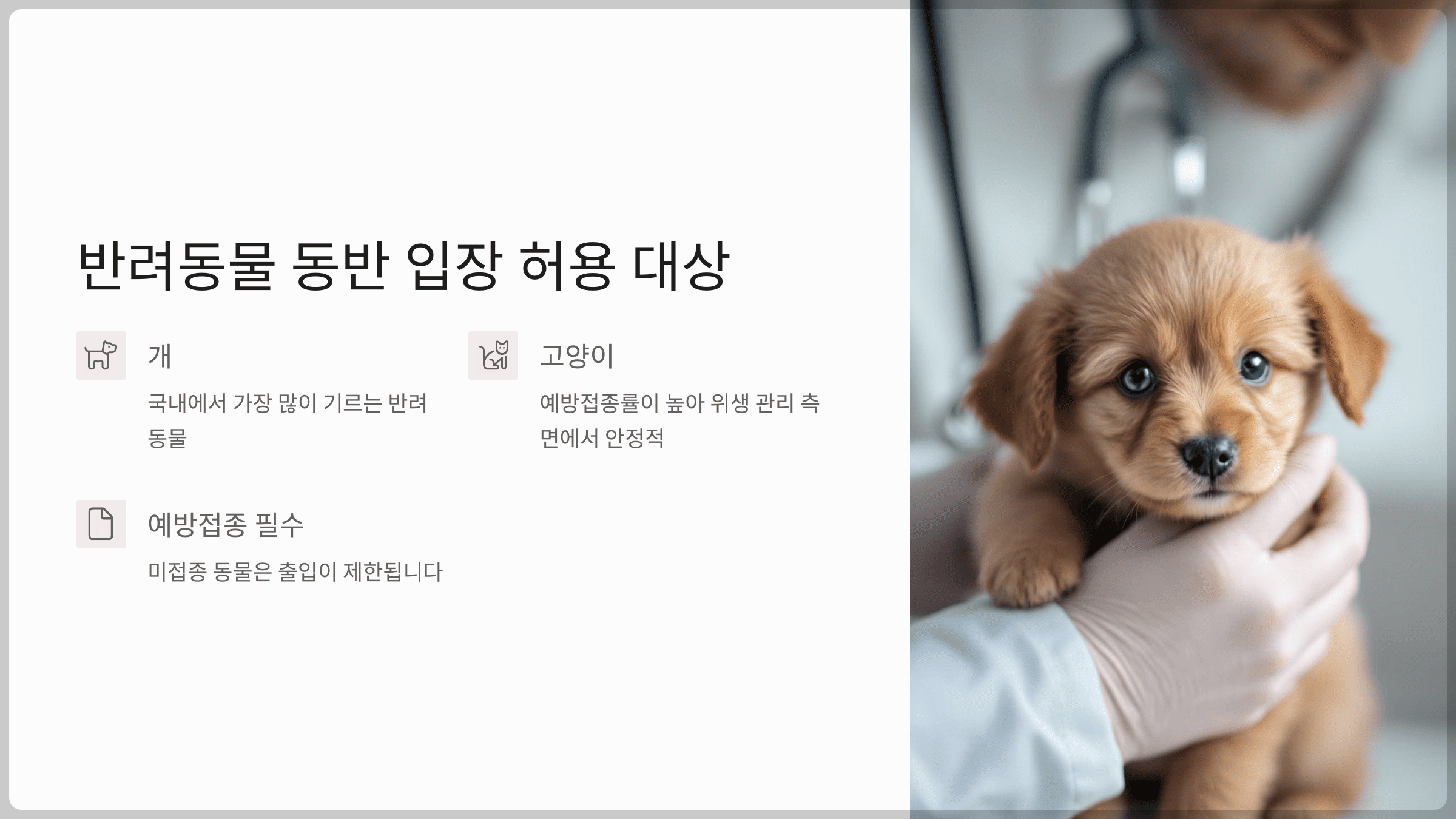 음식점 반려동물 동반 입장 허용?