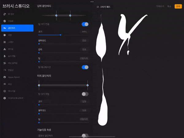 팁 애니메이션 캡쳐