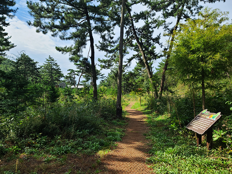 충남 걷기 좋은 숲길 국내여행 걷기 좋은 길, 12