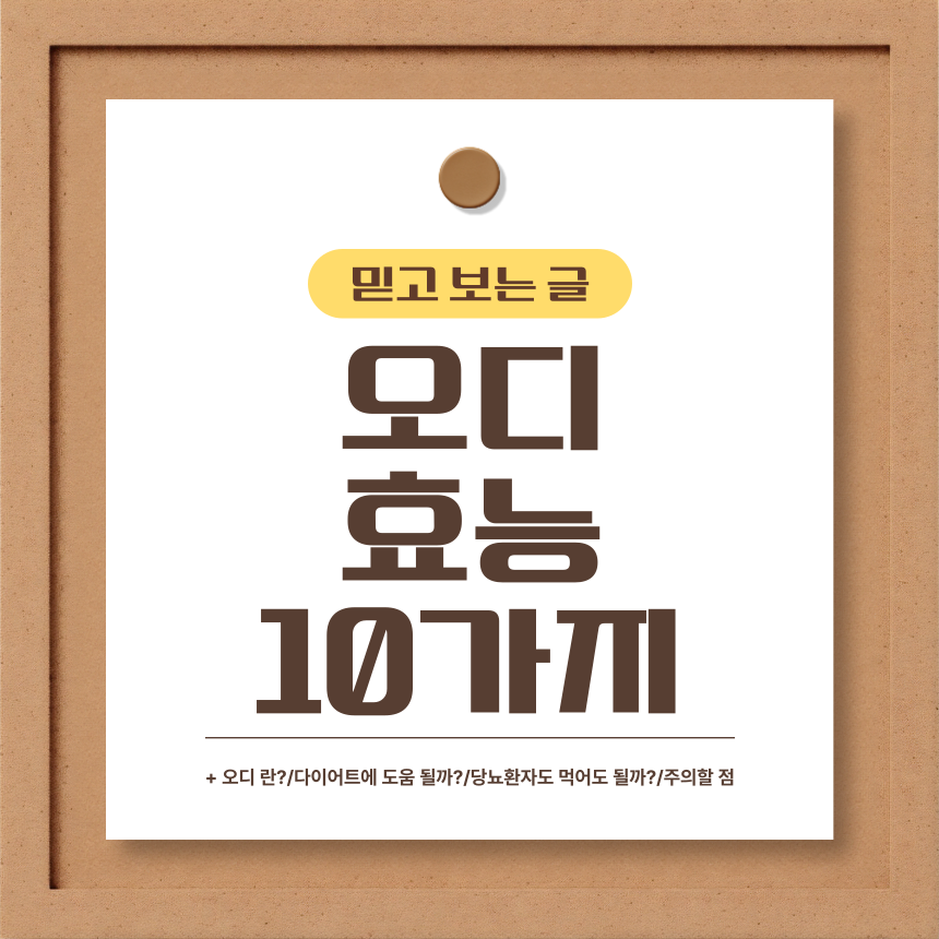  오디 효능 10가지