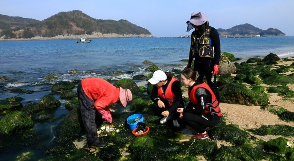 한국기행-남해-상주면-숙식제공-특별한집-독일이-베키-렐리-어서와남해는처음이지