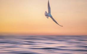 캐논 스캐너 드라이버 다운로드