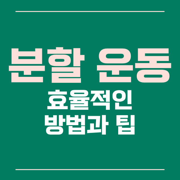  분할 운동의 효율적인 방법과 팁들을 살펴보자