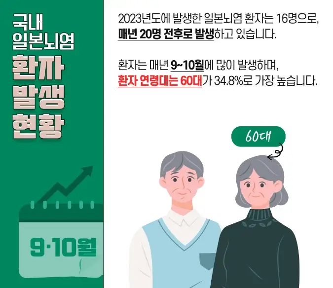 일본뇌염의 위험과 예방 조치