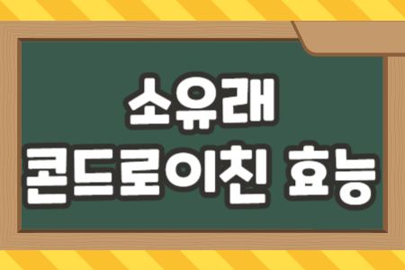소유래 콘드로이친 효능