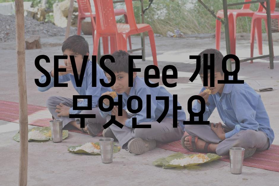 SEVIS Fee 개요 무엇인가요