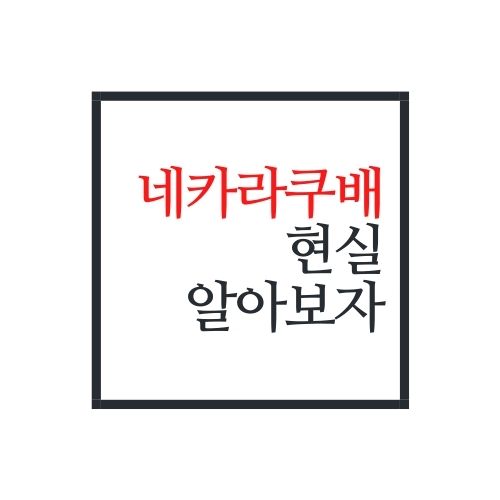  네카라쿠배 현실에 대해서 알아보자(안보면 손해)