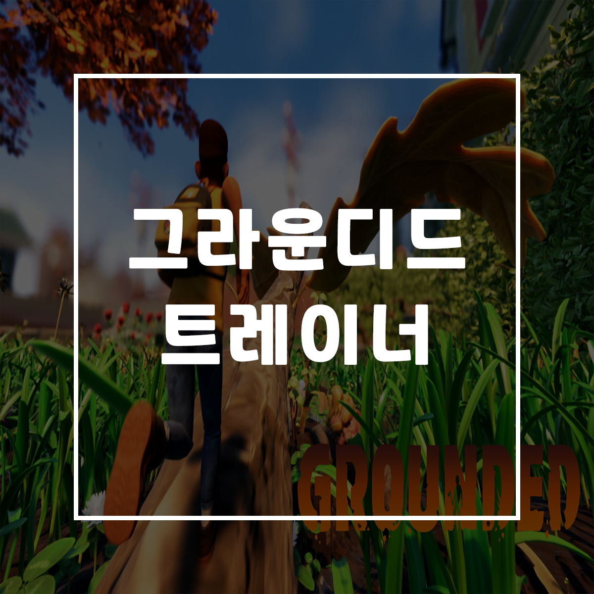  그라운디드 트레이너, Grounded Trainer