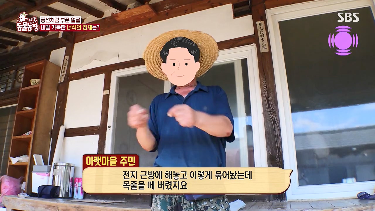 TV 동물농장.E1138.230918p-NEXT.mp4_20230917_174247.839.jpg