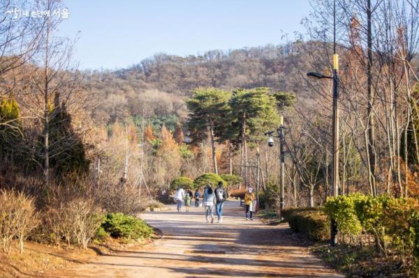 가을에서 겨울로 가는 푸른수목원의 전경