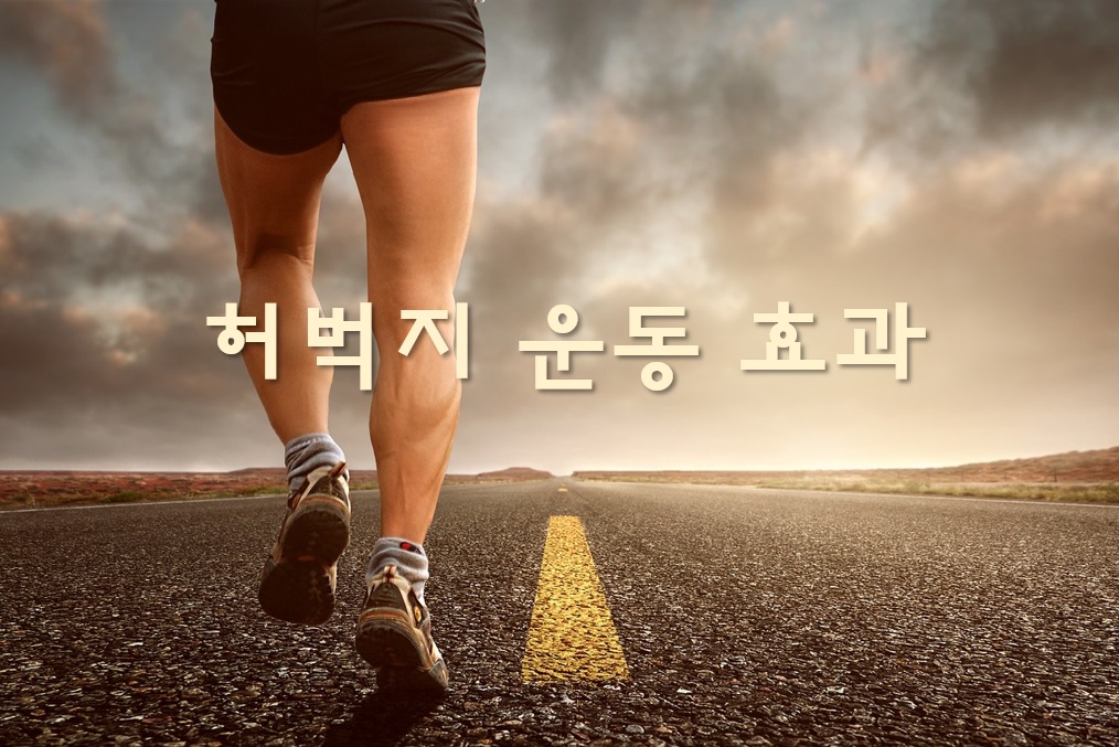  허벅지 근육 운동 방법과 허벅지 운동 효과