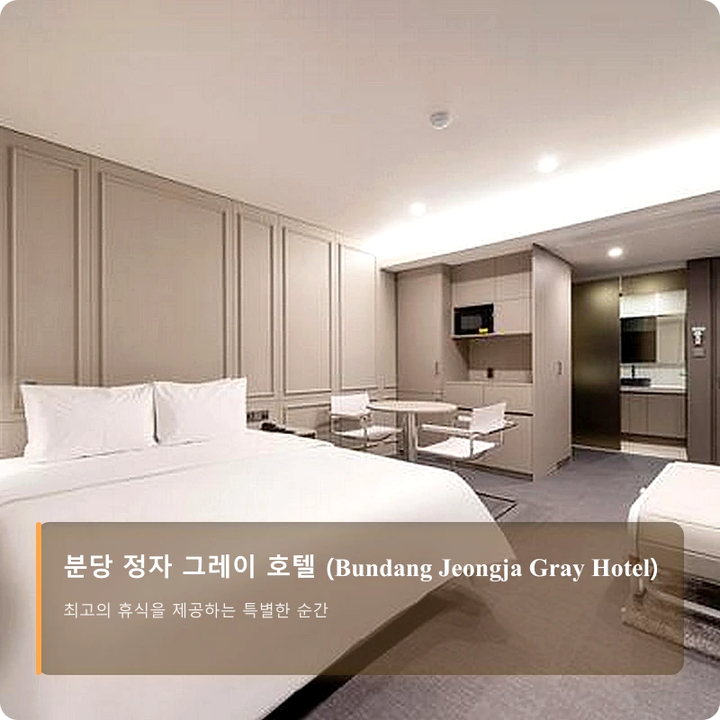분당 정자 그레이 호텔 (Bundang Jeongja Gray Hotel)_2