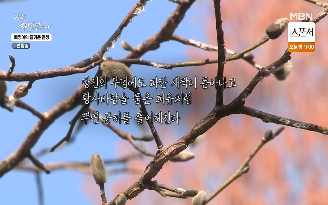 나는 자연인이다.E495.220331p-NEXT.mp4_20220331_172813.808.jpg