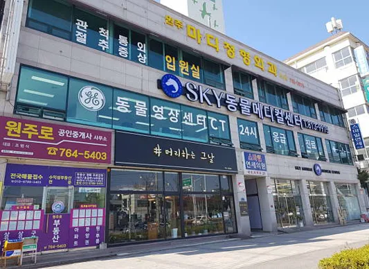 원주24시스카이동물메디컬센터