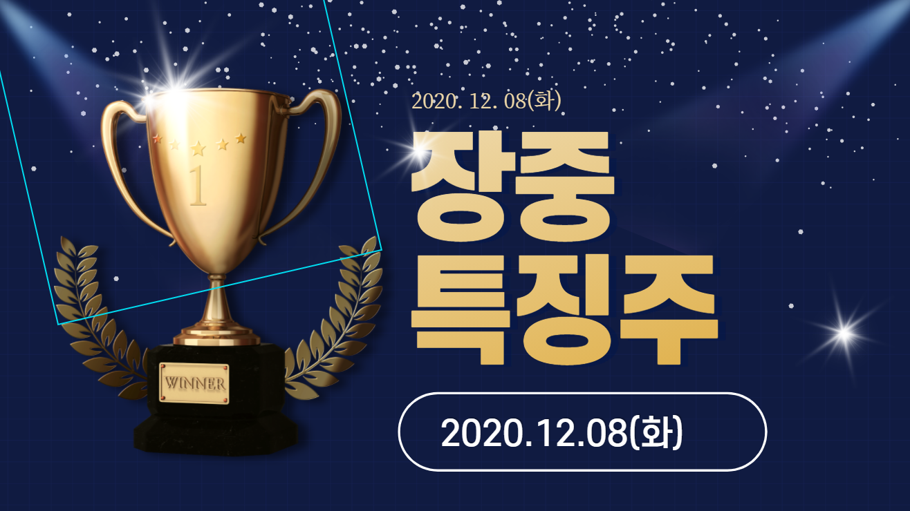  장중 특징주【2020.12.08_화】