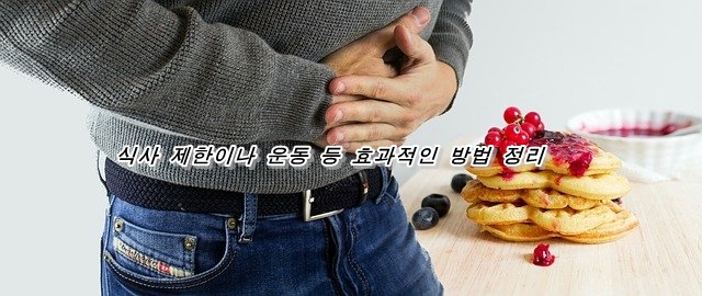  다이어트를 성공시키려면?식사 제한이나 운동 등 효과적인 방법 정리