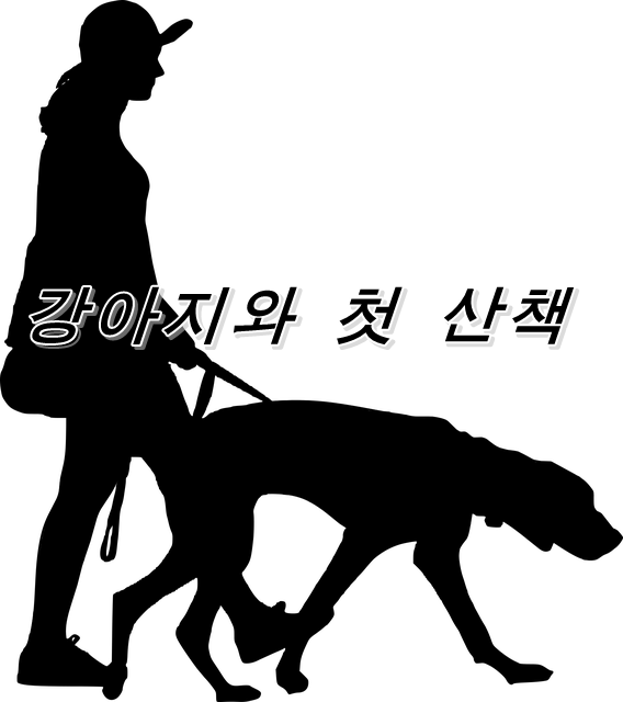  강아지와 첫 산책