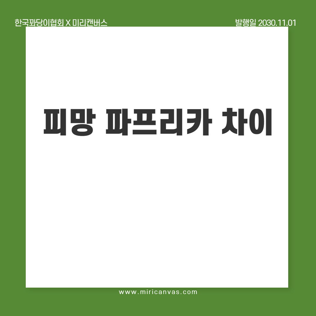  피망 파프리카 차이