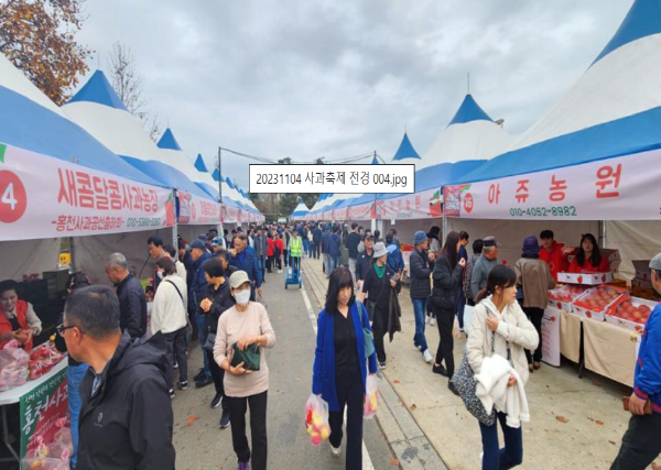 홍천 사과축제