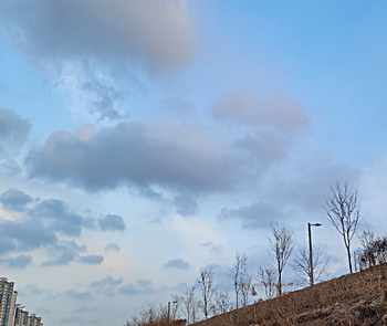 미국-상장-폐지-주식-기술적-반등-매매-방법