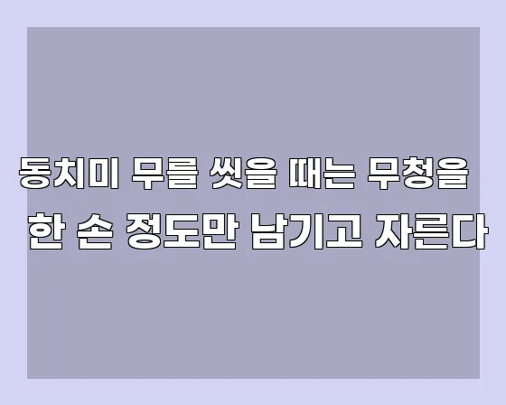 동치미 무를 씻을 때는 무청을 한 손 정도만 남기고 자른다