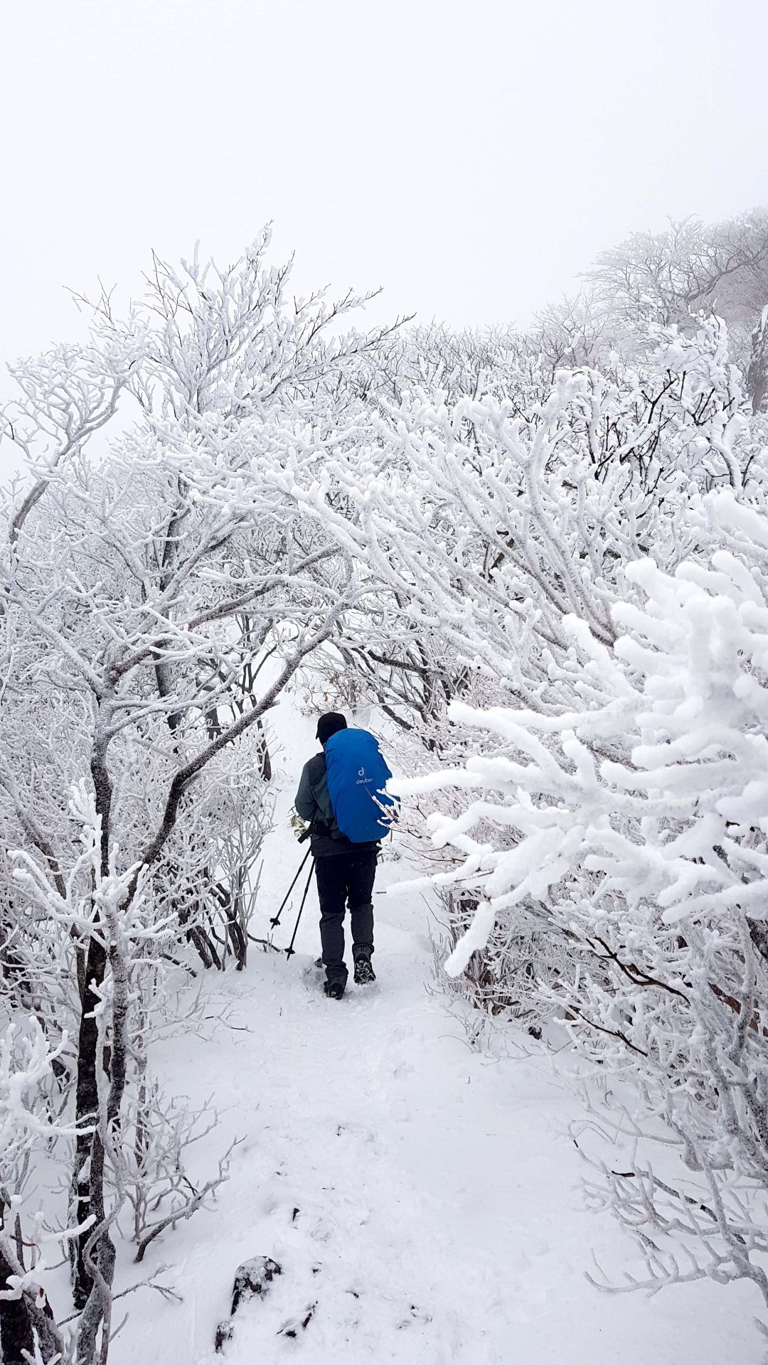 울산 가지산 설경