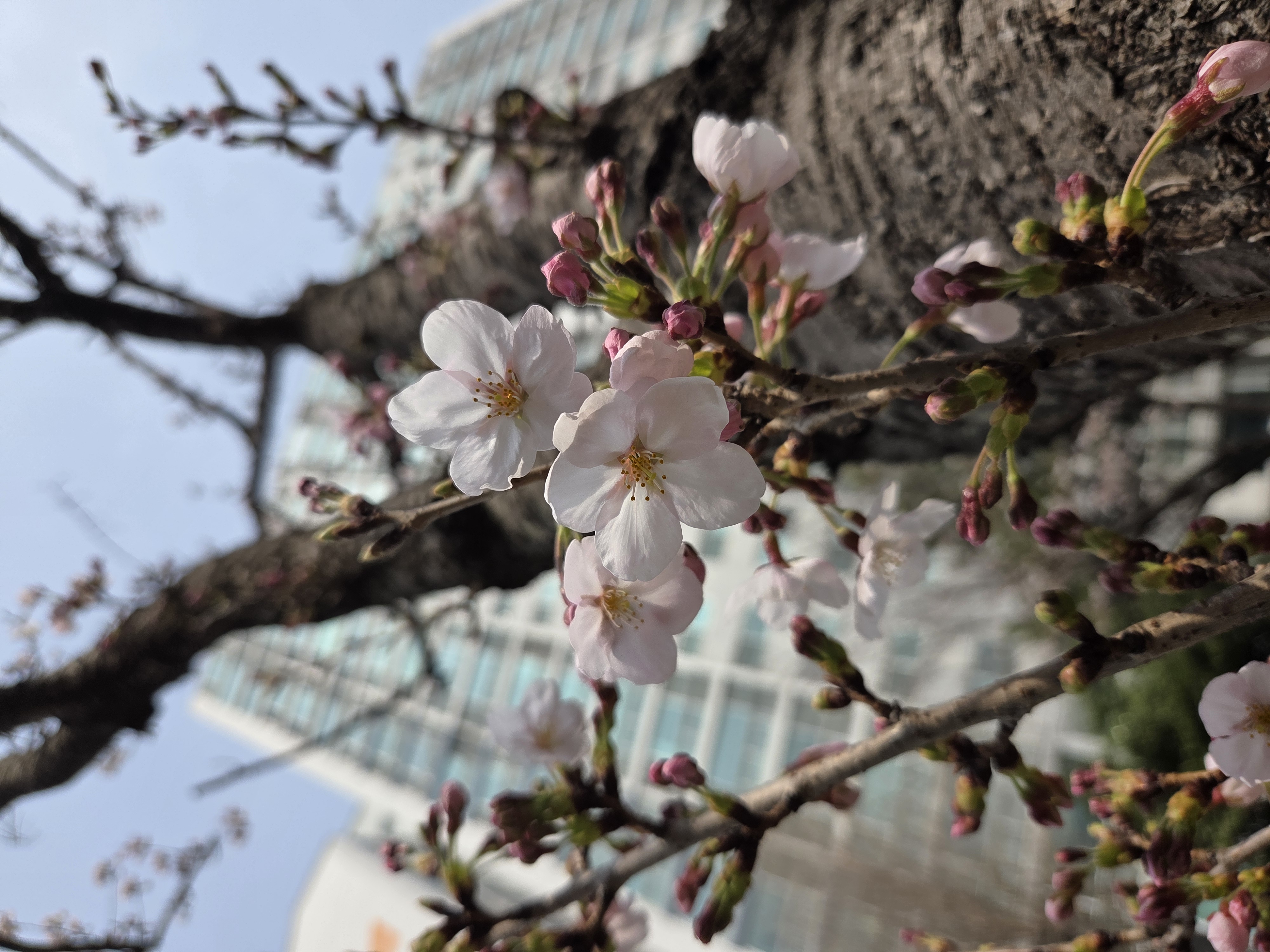 탕화쿵푸마라탕 장산점 대표 사진