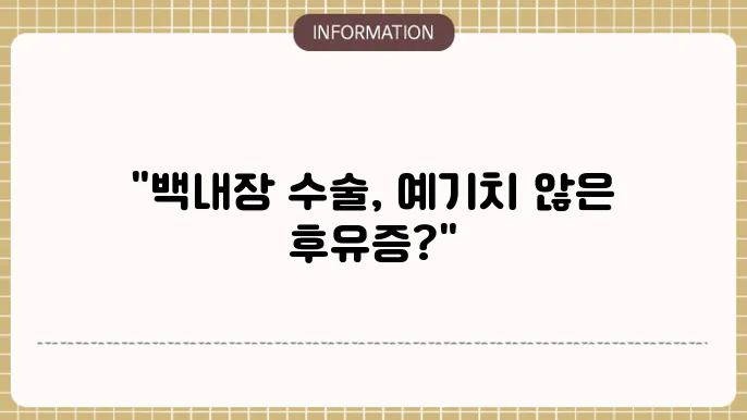임기보예전도 배탄}