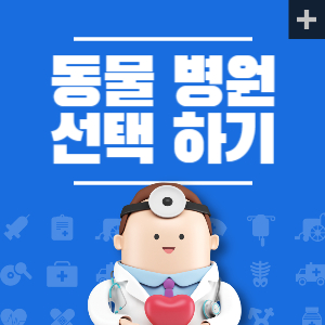 좋은 동물 병원 기준