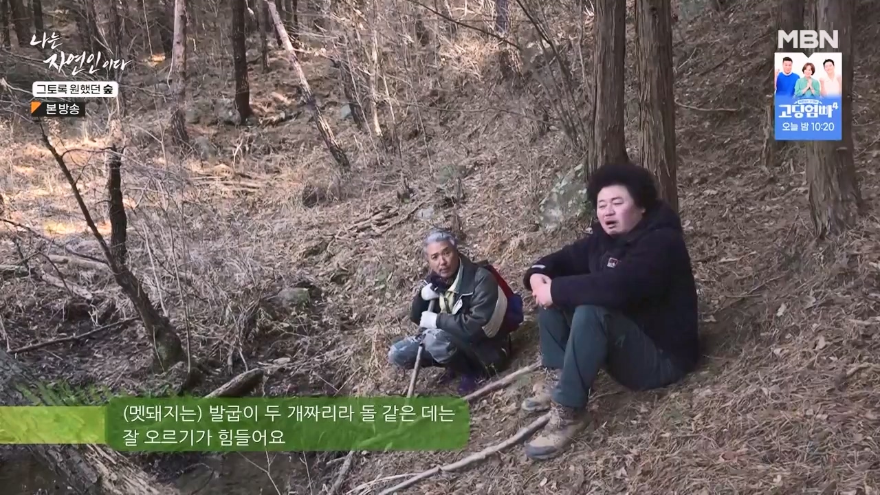 나는 자연인이다.E591.240132p-NEXT.mp4_20240201_194749.985.jpg