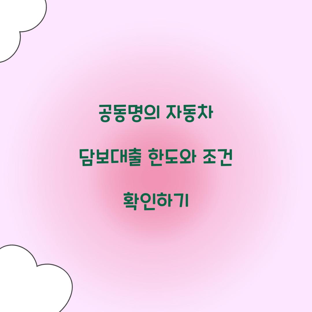 공동명의 자동차 담보대출