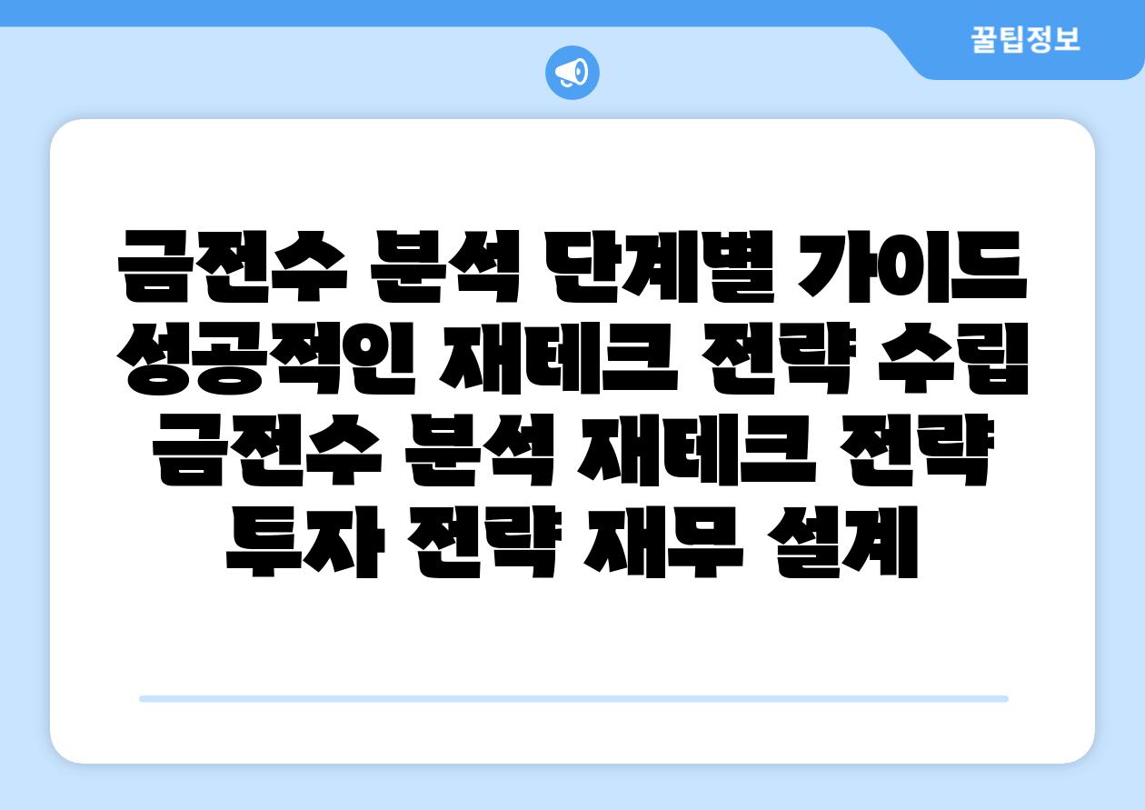 금전수 분석 단계별 설명서 성공적인 재테크 전략 수립  금전수 분석 재테크 전략 투자 전략 재무 설계