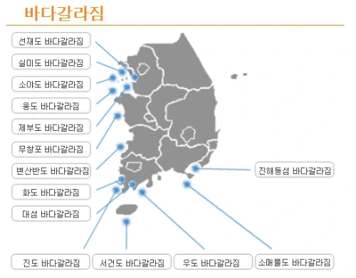 바다갈라짐 표