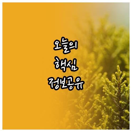 부산 중구 호텔 베스트 5 꼼꼼 비교