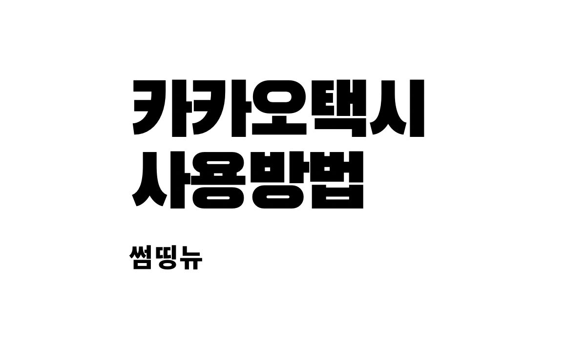  카카오택시 사용법 예약 타인탑승