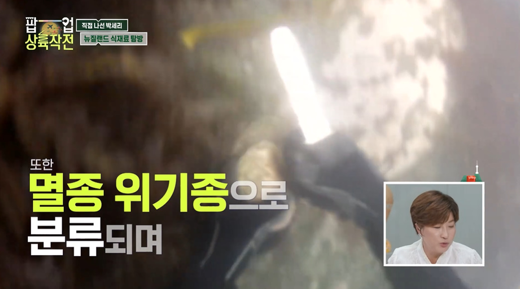 한국에선 먹어볼 수 없다는 뉴질랜드 대표 해산물...jpg | 인스티즈