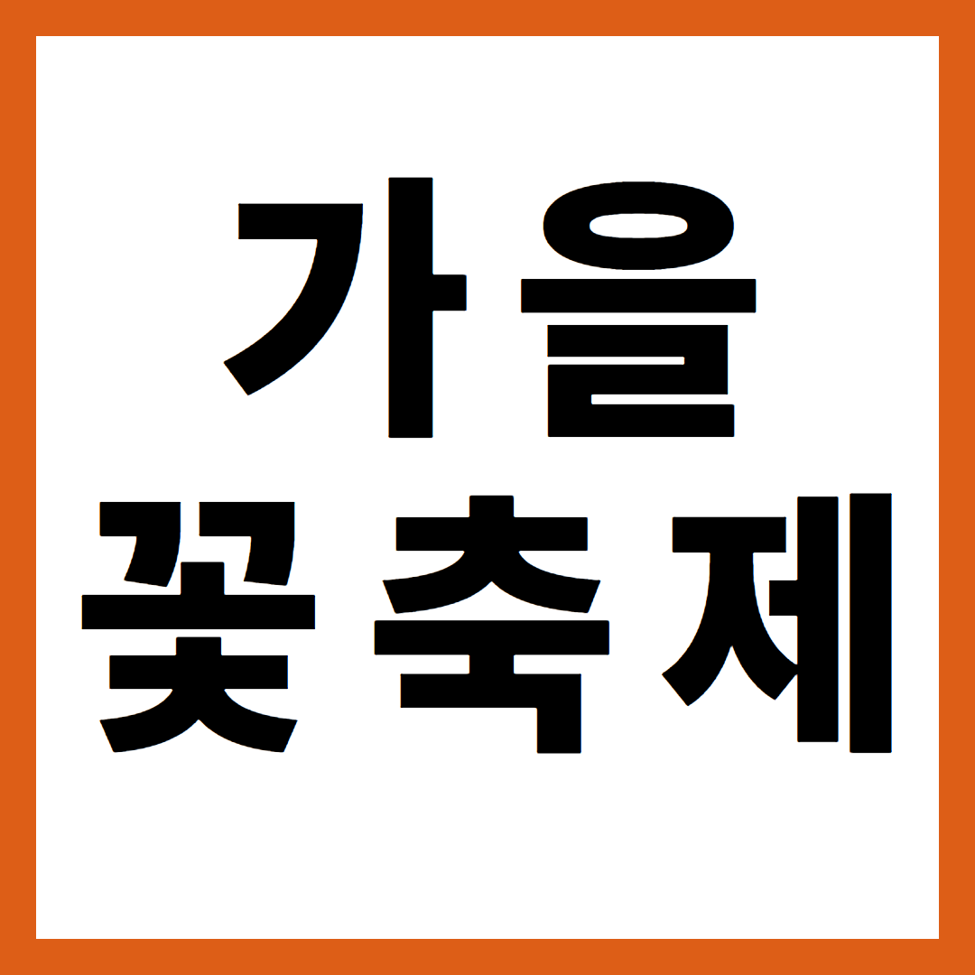 가을 나들이 꽃 축제 강원도 2곳