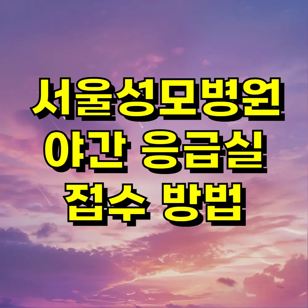 서울성모병원 야간 응급실 접수 방법